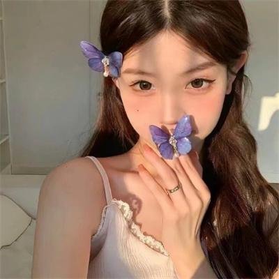 虽然只是弄丢了手机~最终章~最后的黑客游戏